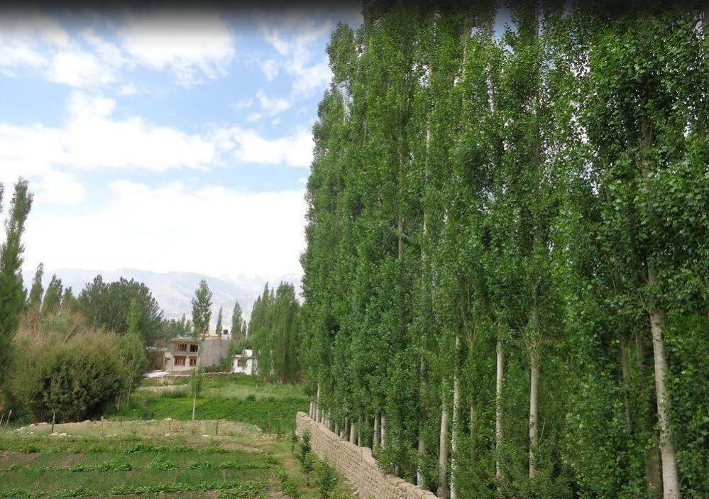 Hotel Ladakh Heaven Leh Kültér fotó