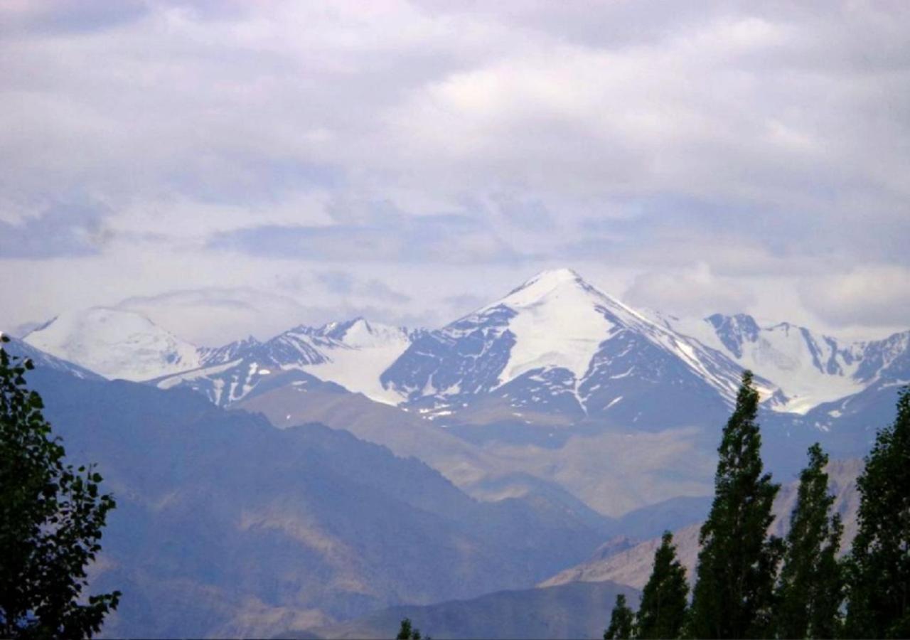 Hotel Ladakh Heaven Leh Kültér fotó